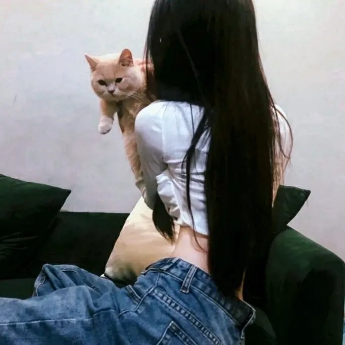 合金杀手