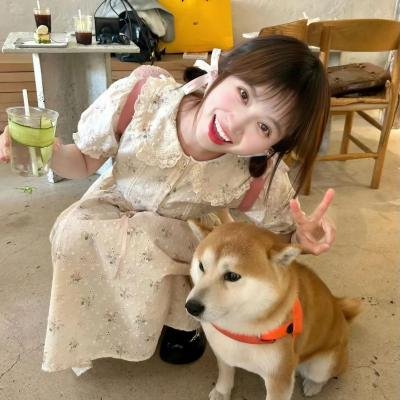 蓝色小精灵的冒险
